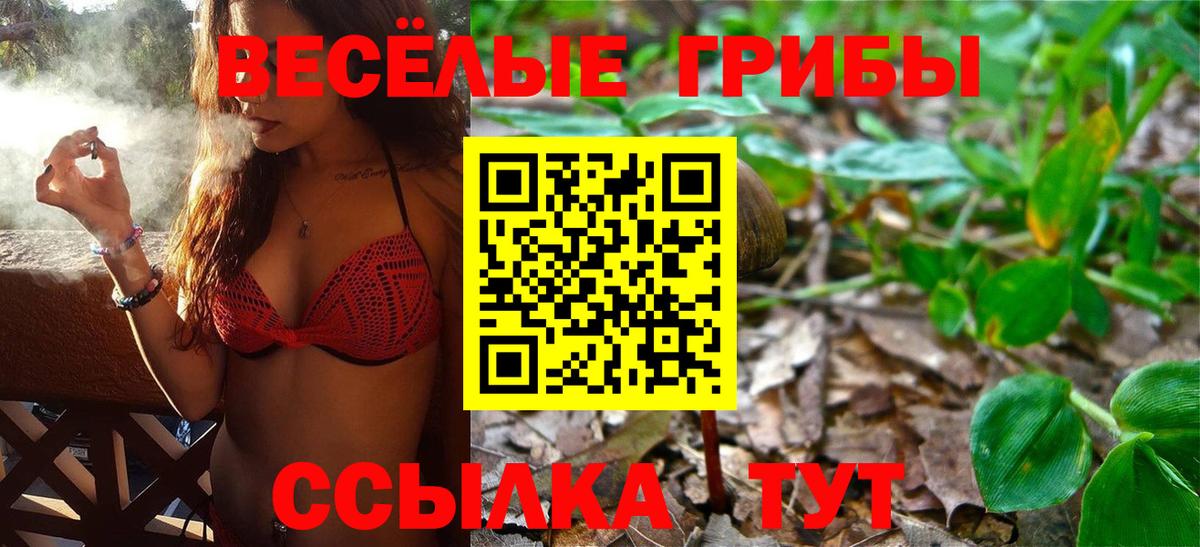 Галлюциногенные грибы мицелий Кингисепп