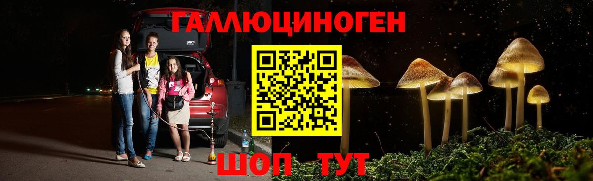 Псилоцибиновые грибы Psilocybe  Вход с VPN  Кингисепп 